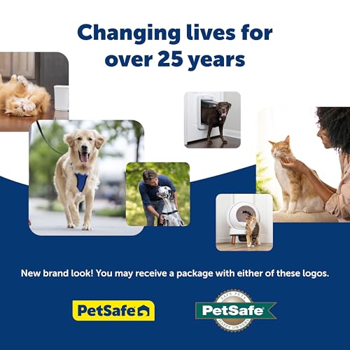PetSafe Happy Ride Folding Pet Ramp, Portable Lightweight Dog Ramp for Cars, Trucks & SUVs
