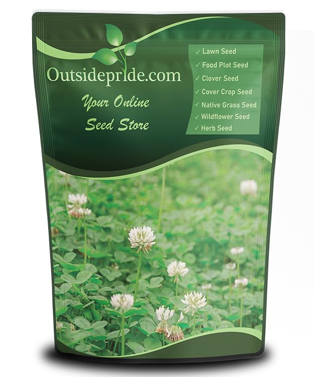 Outsidepride Perennial White Dutch Clover Seed - 2 lbs. Nitrocoated, Inoculated Clover Seeds for Lawn Alternative, Erosion Control, Food Plots, Ground Cover, & Pasture Mixtures in USDA Zones 3-10