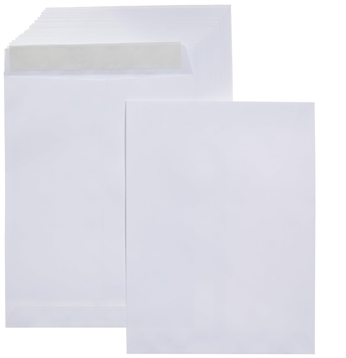 Basics Catalog Mailing Envelopes, Peel and Seal, 9x12 Inch, 100-Pack, White
