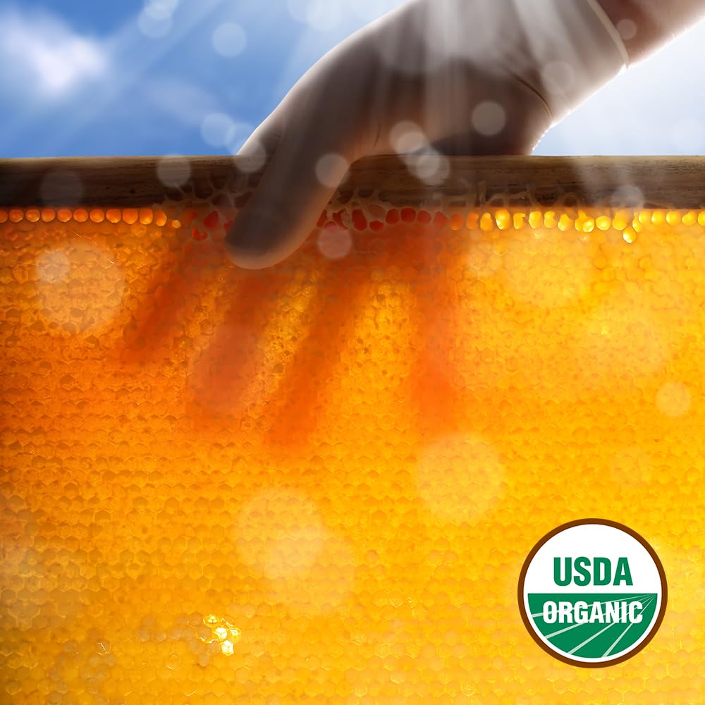 GloryBee 100 Piece Honey Stix Bag, Clover Blossom, 1.20 Pound