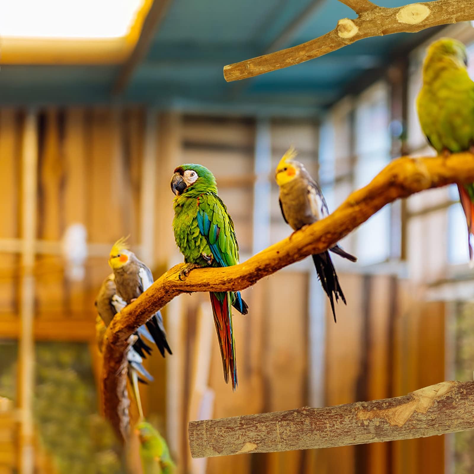 CZWESTC Natural Wood Bird Perches for Cage, Parrot Perch Stand & Platform, Bird Cage Accessories for Parakeets, Cockatiels, Conures, Lovebirds (Brown, Core Perch & Platform - 8PCS)