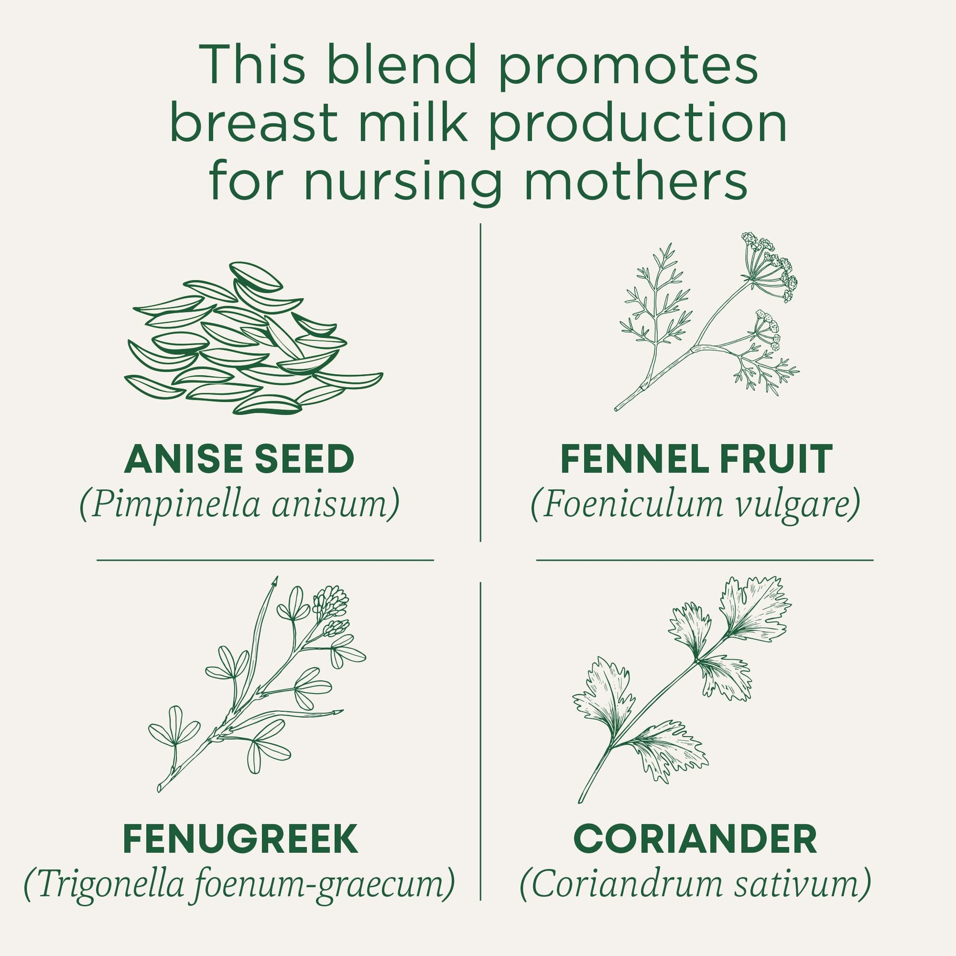 Traditional Medicinals - Organic Mother's Milk Herbal Tea (6 Pack) - Promotes Healthy Lactation in Breastfeeding Moms - 96 Tea Bags Total