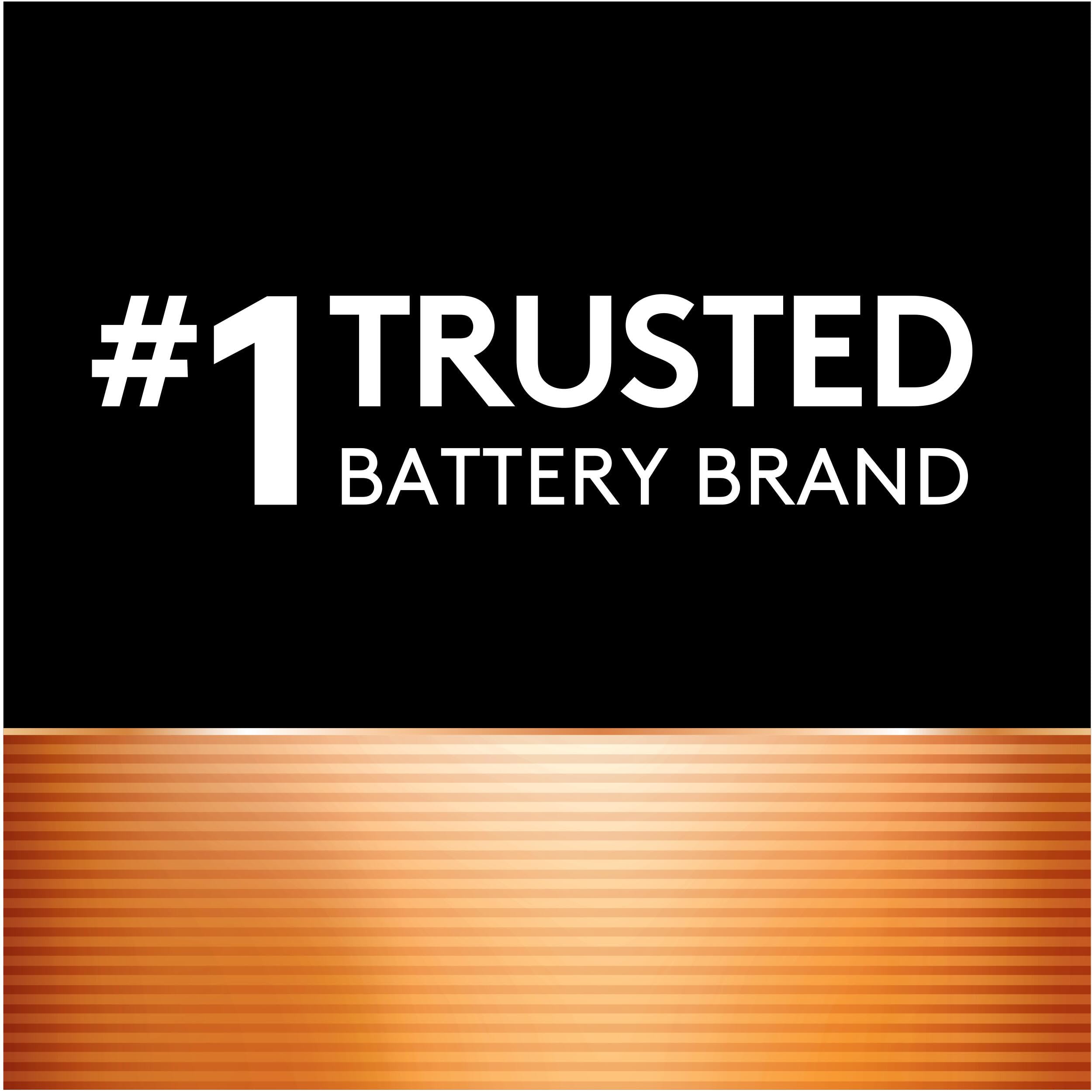 Duracell AAAA 1.5V Batteries, 2 Count (Pack of 1), AAAA 1.5 Volt Alkaline Battery, Long-Lasting for Cameras, Styluses, Flashlights and More