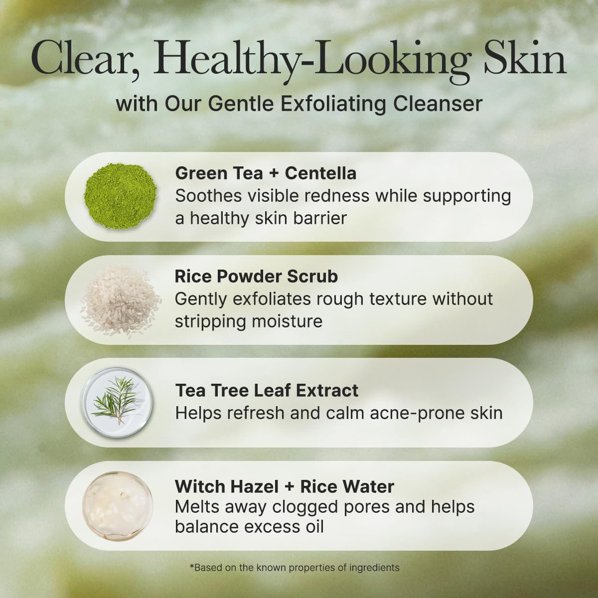 Arencia Korean Rice Mochi Face Cleanser - Face Mask, Foaming Cleanser, Gentle Scrub All in One - Deep Cleansing, Moisturizing, Pore Minimizing, Removing Blackhead- with Rice Water & Green Tea, Mugwort