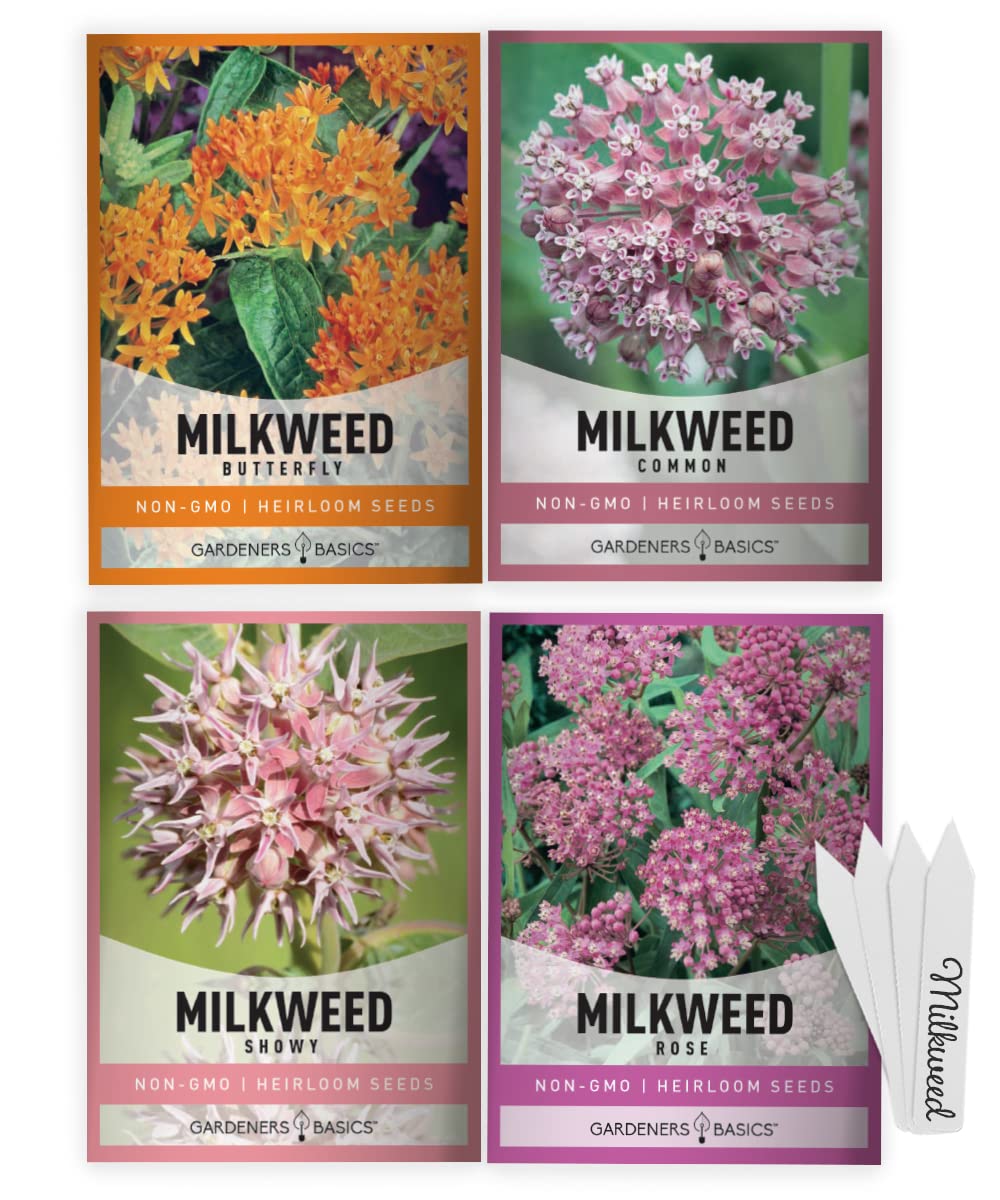 Gardeners Basics, Monarch-Schmetterling-Samen (4er-Set) Gemeine Seidenpflanze, Sumpf-Seidenpflanze, Schmetterlings-Seidenpflanze und Rosen-Seidenpflanze Lockt Schmetterlinge, Bienen und Bestäuber an, Alte Blumensamen, Wildblumensamen