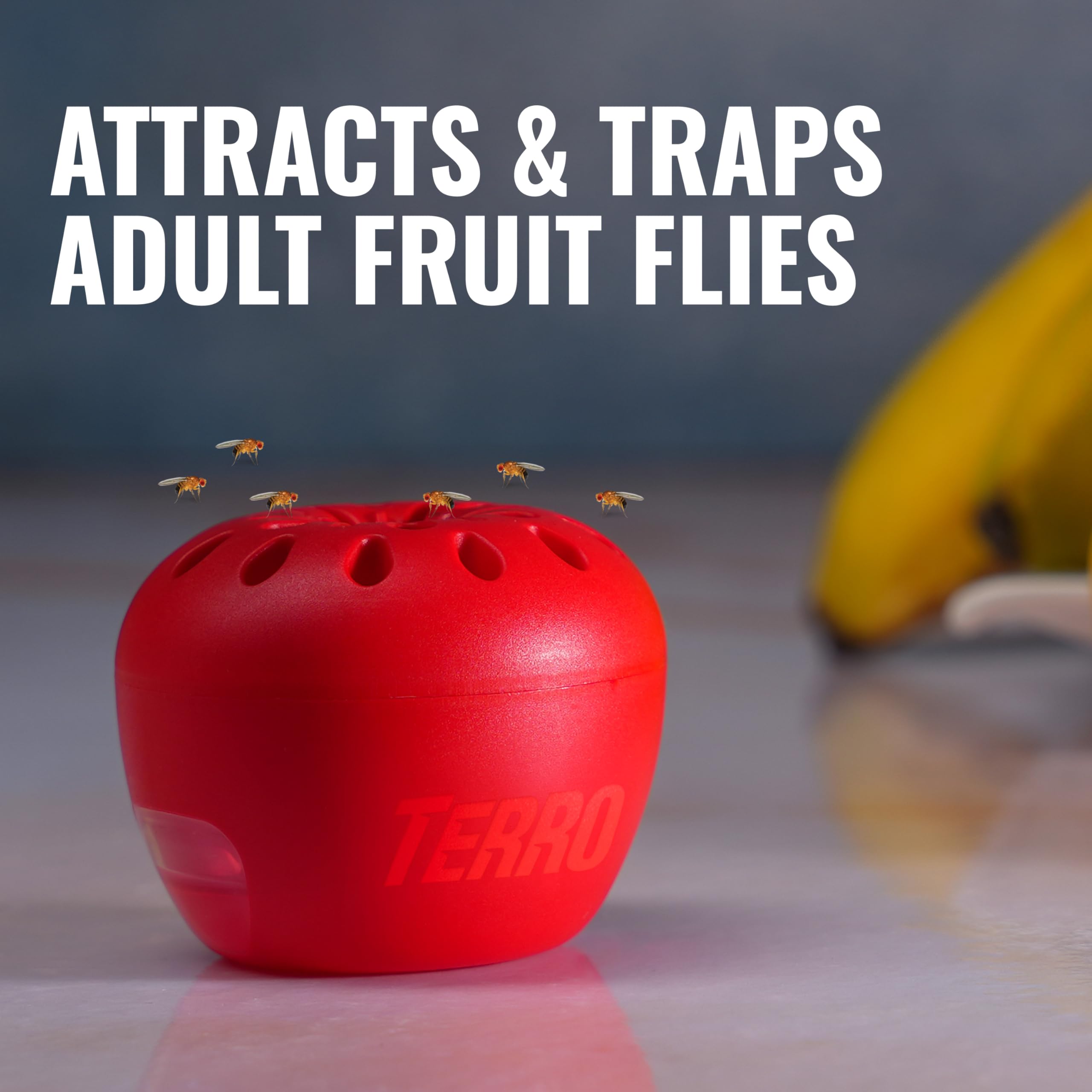 Terro Fruit Fly Traps for Indoors (4 Pack) + 180 Days of Lure Supply
