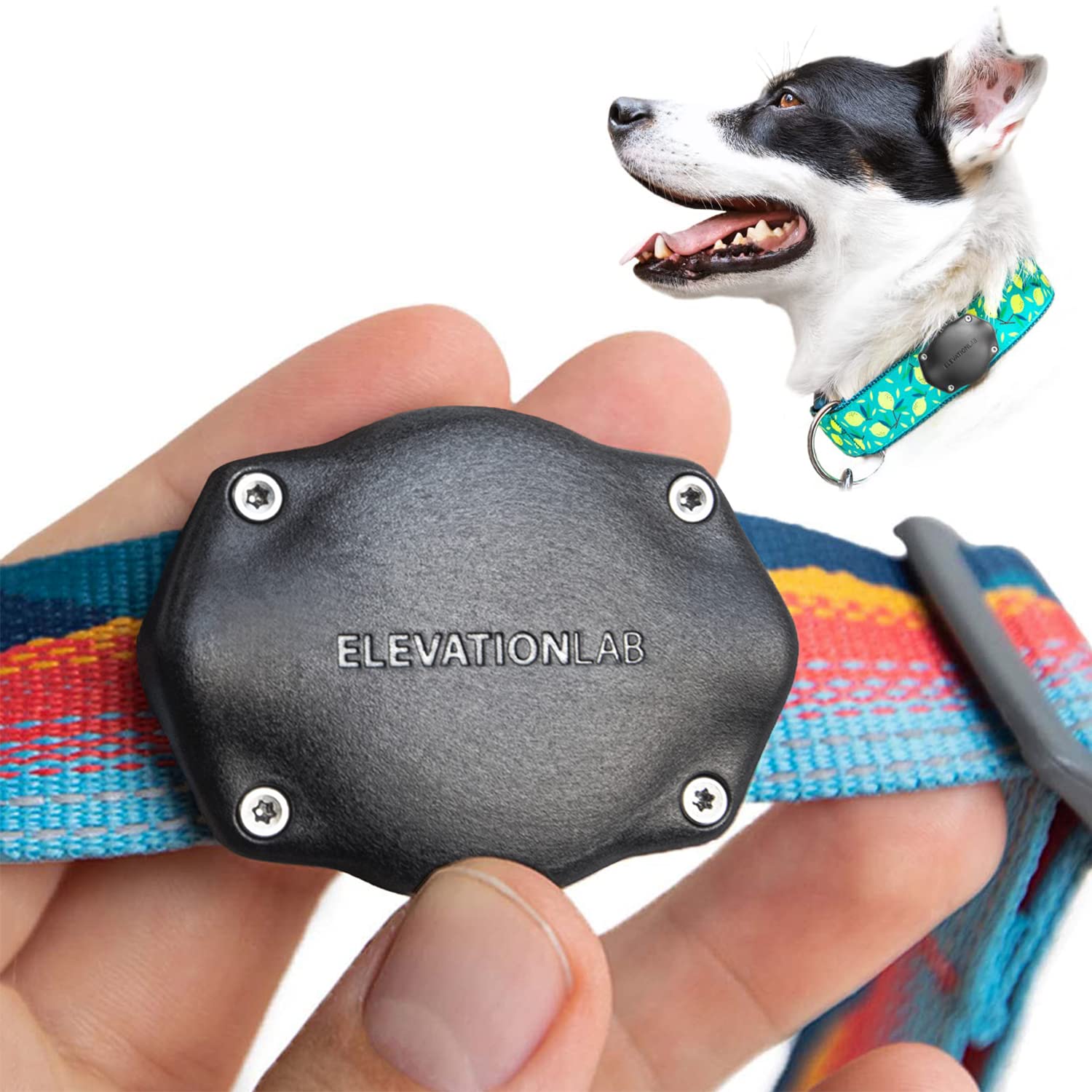 Elevation Lab TagVault AirTag Hunde-Halsbandhalterung (Einzeln) – IP69 Wasserdicht, baumelt nicht, passt auf alle Halsbandbreiten, im Dunkeln leuchtend