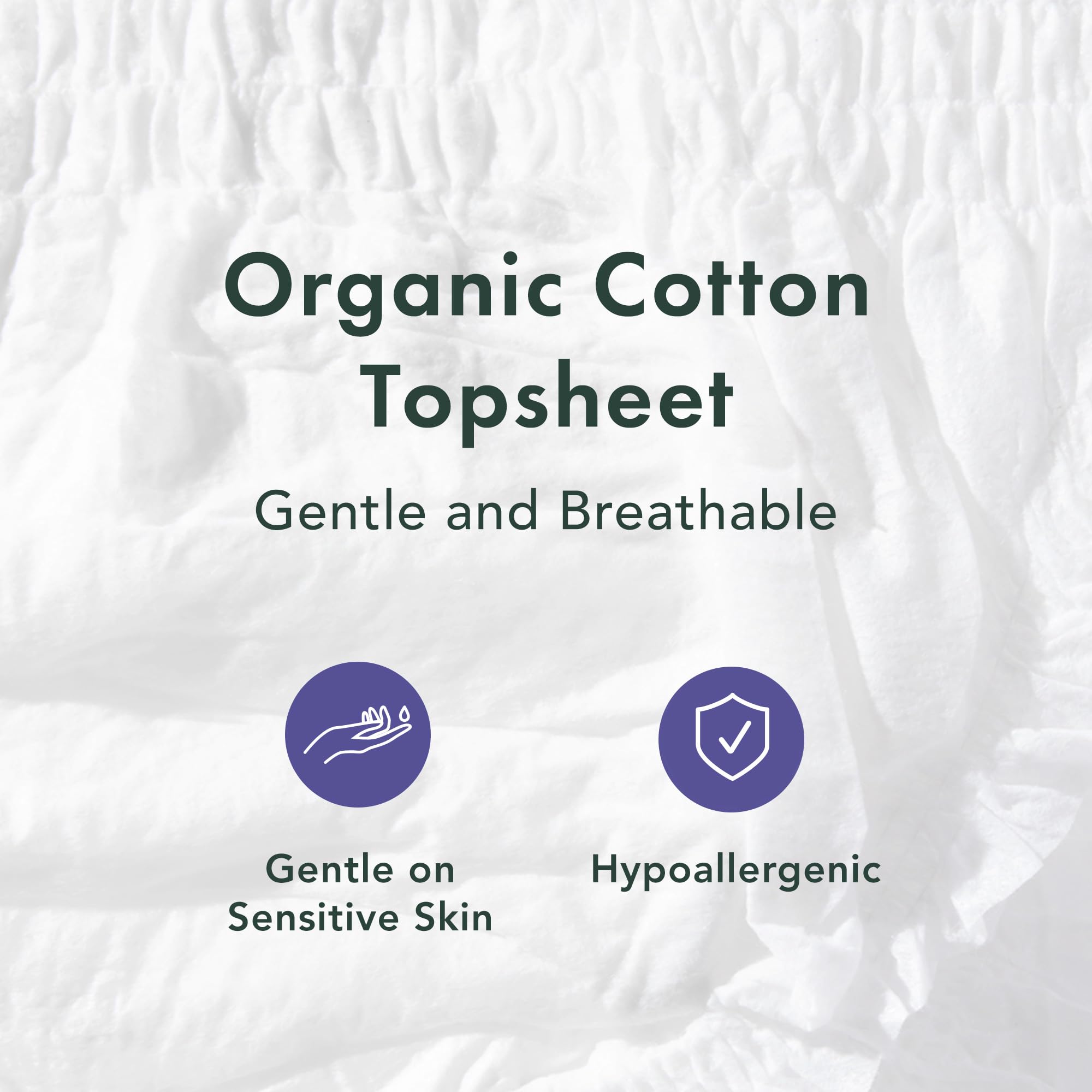 Rael Disposable Underwear for Women, Organic Cotton Cover - Postpartum Essentials, Leak Locker, Unscented, Maximum Coverage (Size S-M, 20 Count)