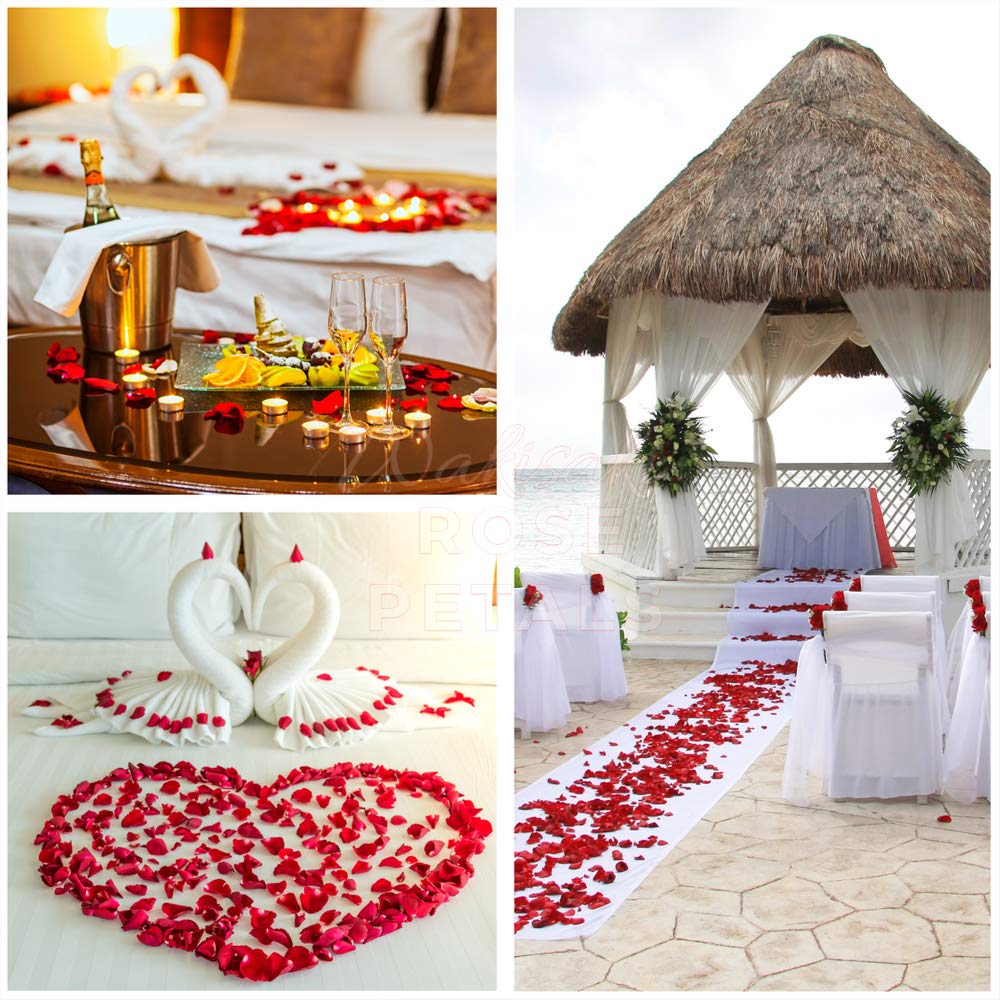 (Pre-Separated, Scented) WAKISAKI Artificial Silk Rose Petals for Wedding Flower Petals for Romantic Special Night, for Proposal, Anniversary (1,000 PCS, Dark Red)