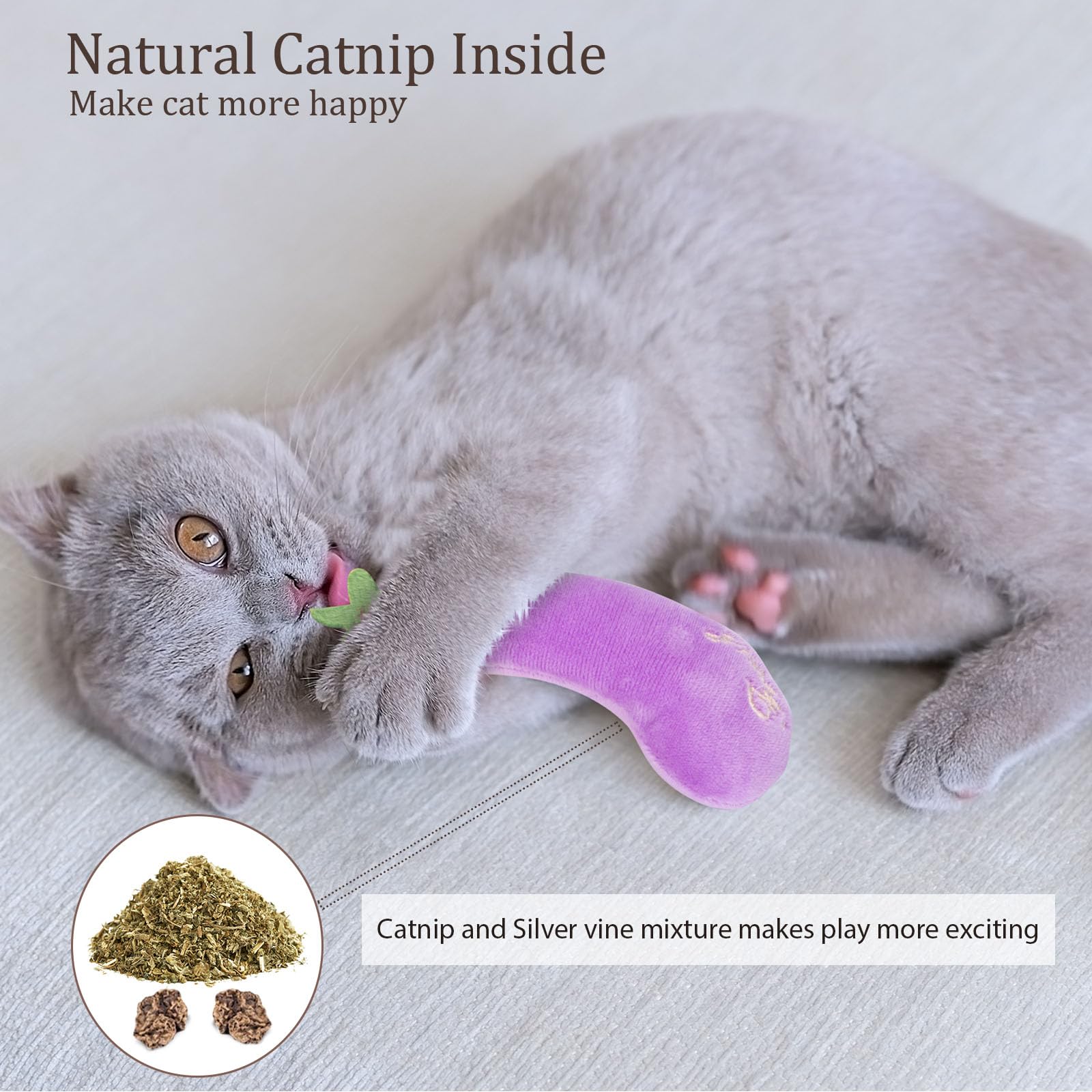 ETEKYER Catnip Cat Toys, Interactive Indoor Cat Nip Toy Kitty Kicker, Durable Kitten Teething Chew Toy, 5 Pack, Vegetable Shape