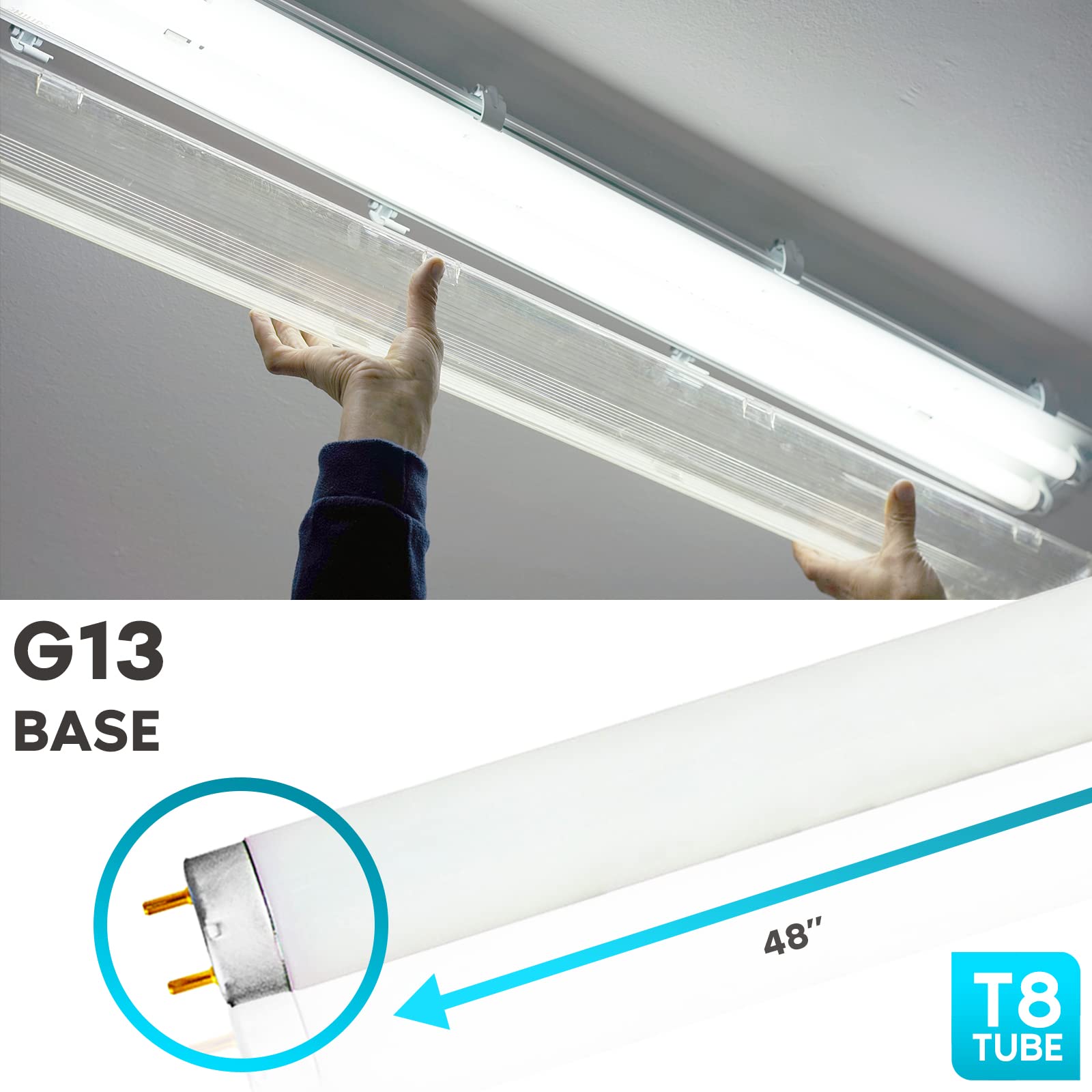 LUXRITE F32T8/841 T8 Fluorescent Tube Light Bulb (1" Diameter), 32W, 48 Inch, 4100K Cool White, 2800 Lumens, G13 Bi-Pin Base, (T8 Only, Not Compatible with T12 or LED Fixtures) - LR20732, 4-Pack