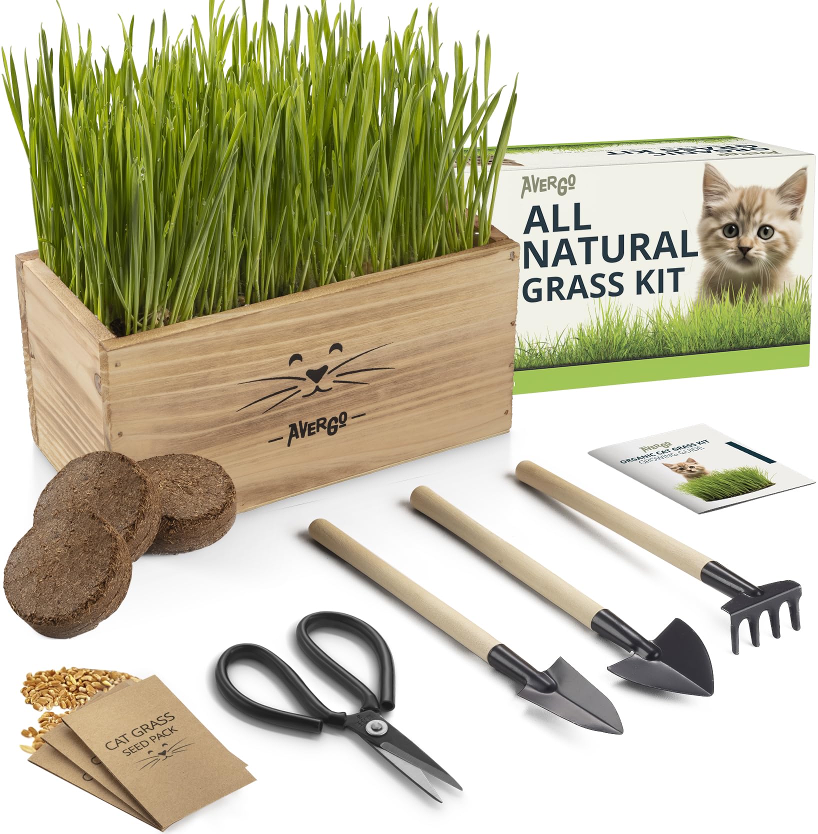 Cat Grass Kit for Indoor Cats - x4 Seed Packets | Cat Grass Seeds with Wooden Planter, Soil & Mini Gardening Tools for Nipping - Pet-Safe Wheatgrass Grass