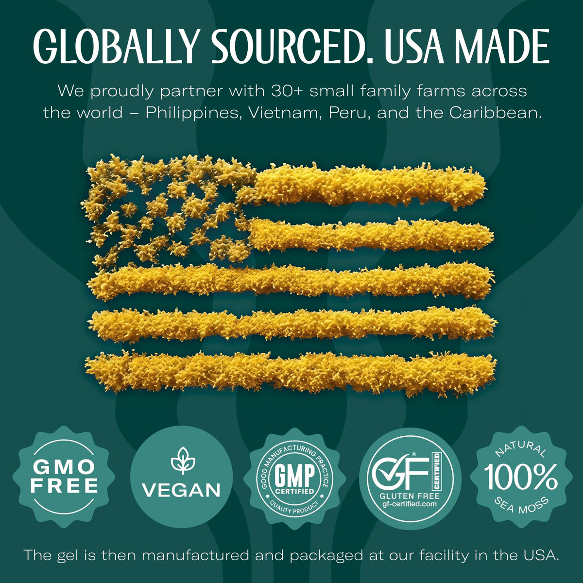 TrueSeaMoss Sea Moss Gel – Hergestellt in den USA – Wildgeernteter Seemoos, frische Früchte & Meeresgemüse – Mango/Ananas, Packung mit 1 (Etiketten können variieren)
