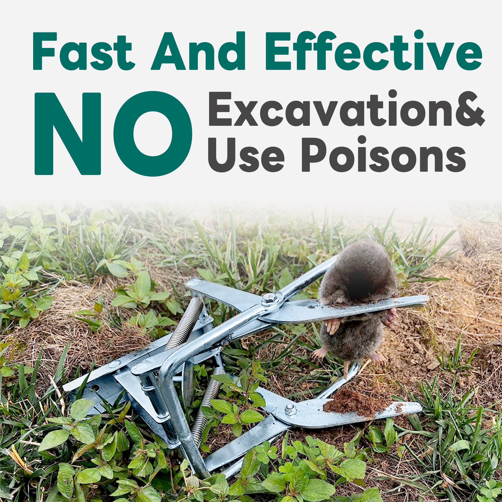 2 Pack Mole Traps,Galvanized Steel Scissor Trap,Reusable Mole Trap Killer,Easy Set Mole Eliminator Trap for Lawns