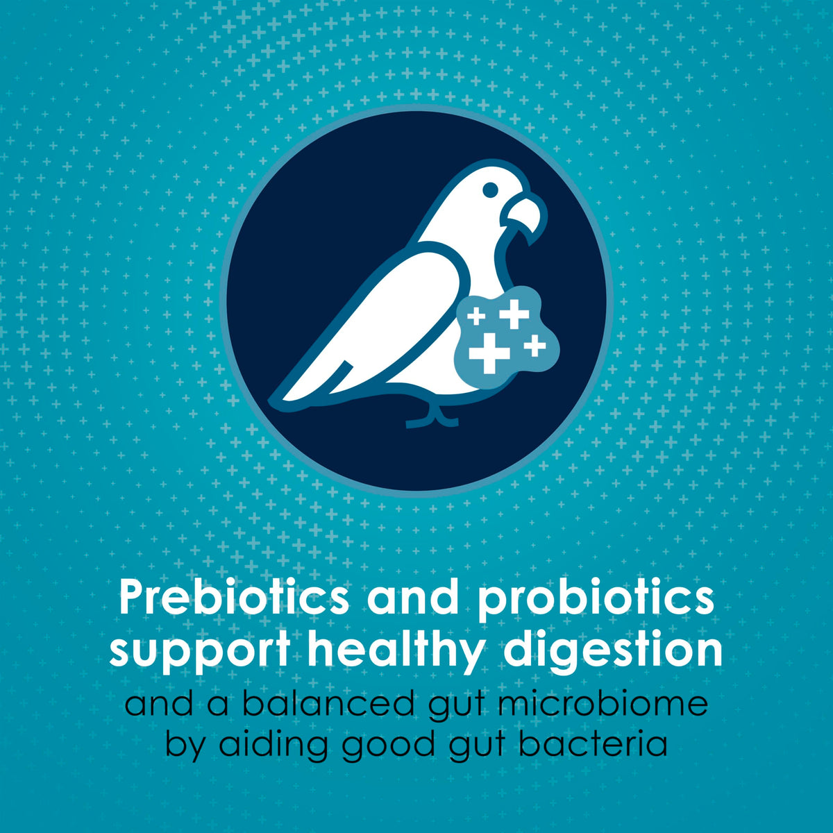 Kaytee Forti-Diet Pro Health Nourish+Protect Cockatiel Food, Comprehensive Nutrition Backed by Science, Digestive Health, Immune Support, 5 pounds