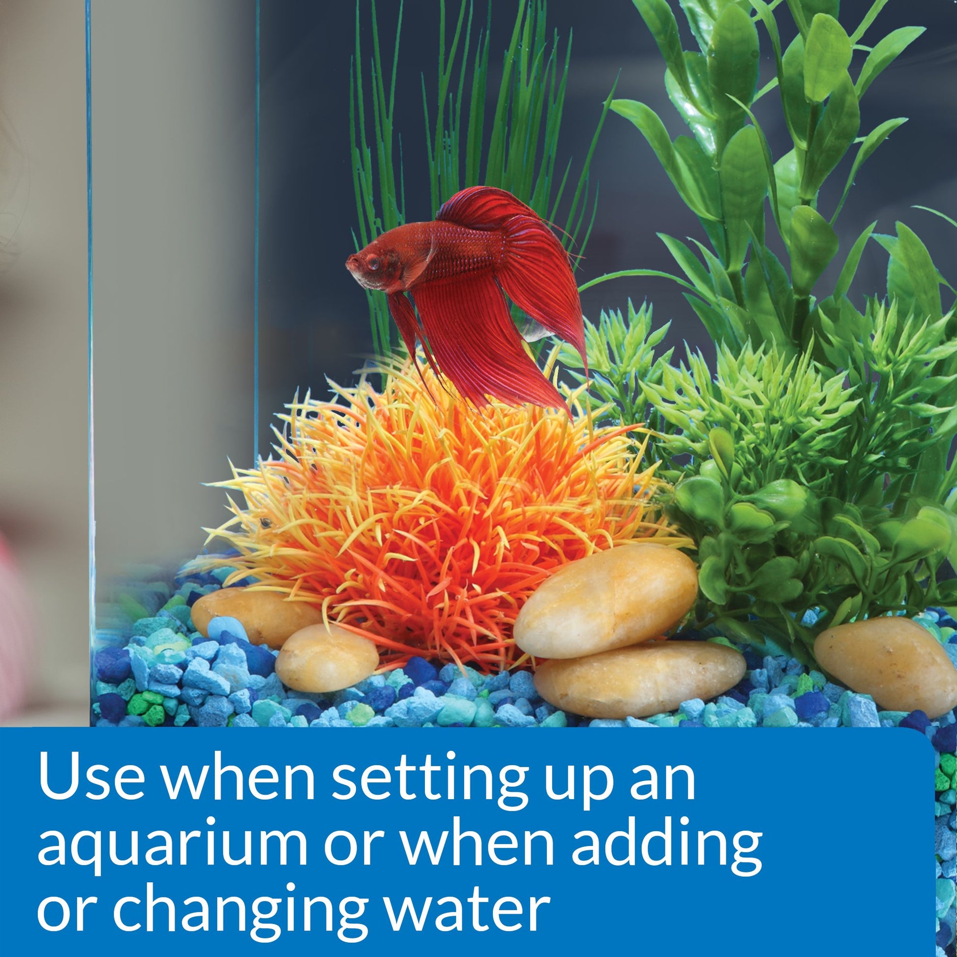 API BETTA WATER CONDITIONER Betta Fish Freshwater Aquarium Water Conditioner 1.7-Ounce Bottle