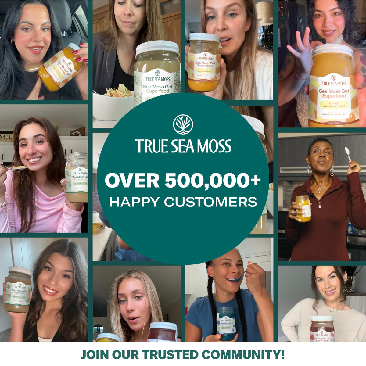 TrueSeaMoss Sea Moss Gel – Hergestellt in den USA – Wildgeernteter Seemoos, frische Früchte & Meeresgemüse – Mango/Ananas, Packung mit 1 (Etiketten können variieren)