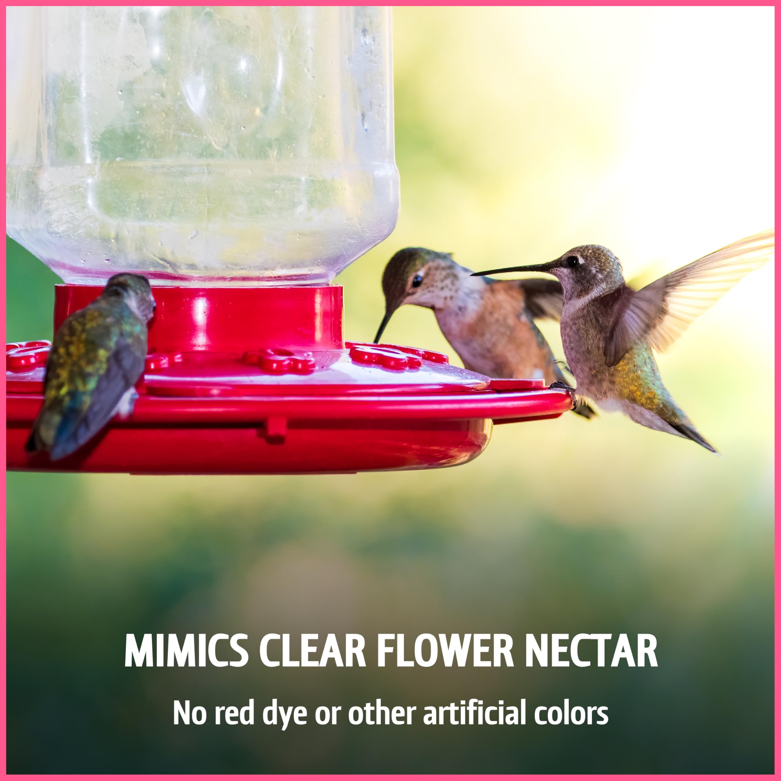Pennington 100543828 ElectroNectar Hummingbird Food Ready to Use, Clear