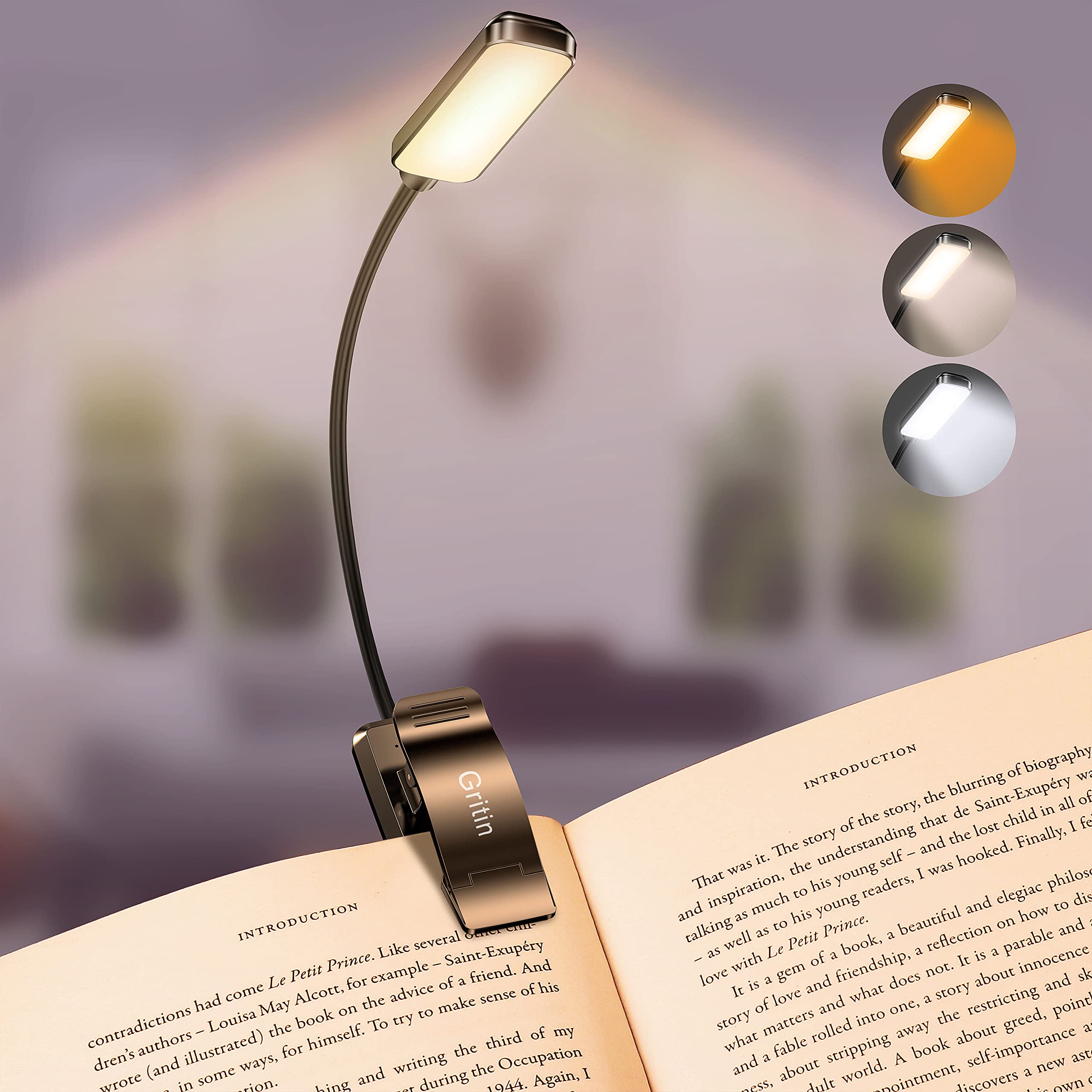 Gritin 9 LED Wiederaufladbare Buchlampe zum Lesen im Bett - Augenschonend, 3 Farbtemperaturen, Stufenloses Dimmen der Helligkeit, 80 Std. Laufzeit, Kleine, Leichte Klemm-Leselampe zum Lernen