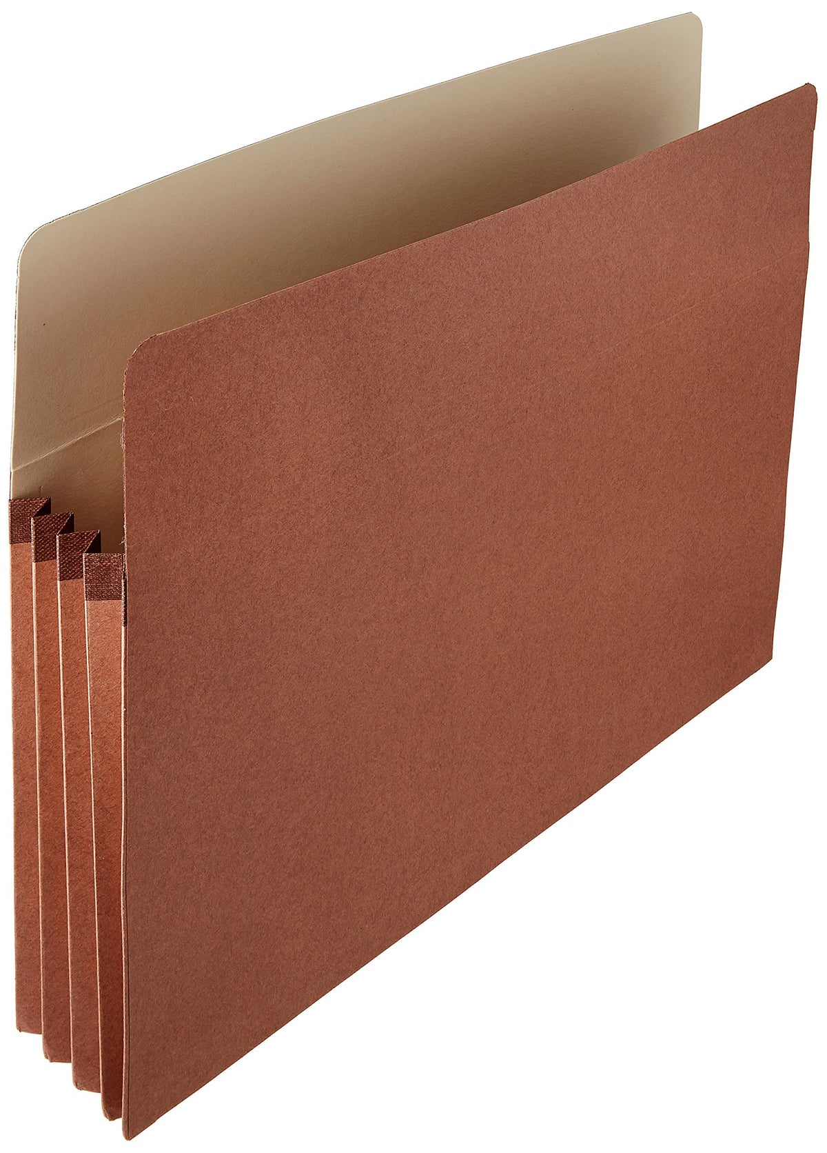 Basics Expanding File Folder Organizer with Pockets, Letter Size, 3.5-Inch Expansion, 25-Pack, 9.5 x 11.75 Inches, Brown